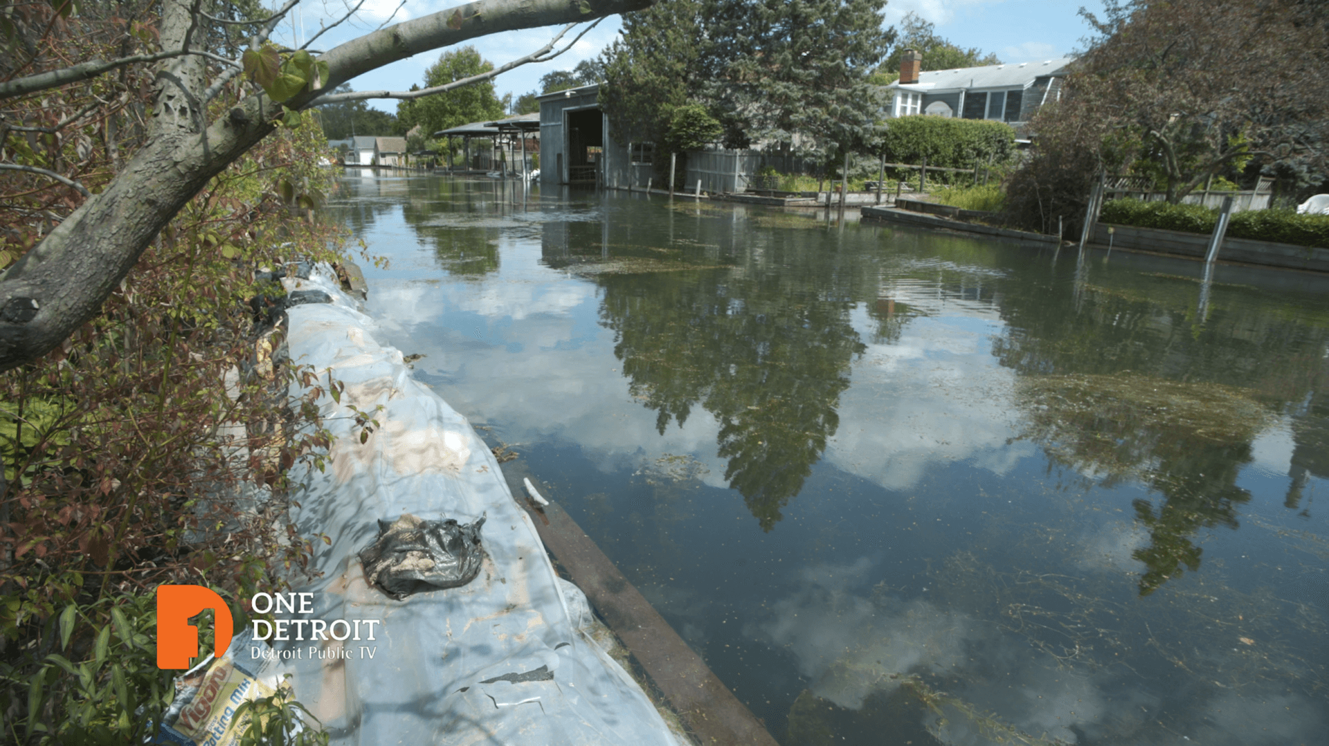 02.-The-canal-behind-Scripps-Street-1